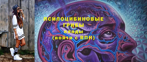 соль курить ск Арсеньев